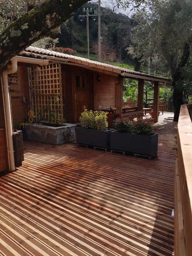 Le Chalet De Valentine & Laurent Olmiccia Экстерьер фото