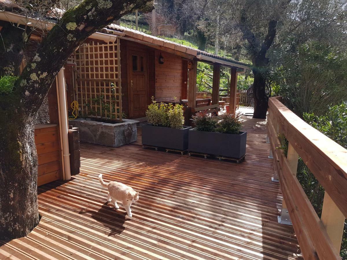 Le Chalet De Valentine & Laurent Olmiccia Экстерьер фото